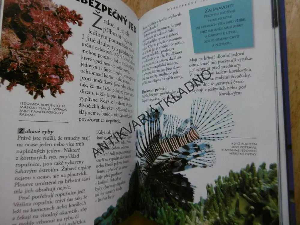 ŽRALOCI A JINÁ DĚSIVÁ MOŘSKÁ STVOŘENÍ, 