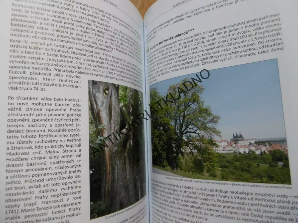 PAMÁTNÉ STROMY PRAHY, KYZLÍK, RUDL, **an