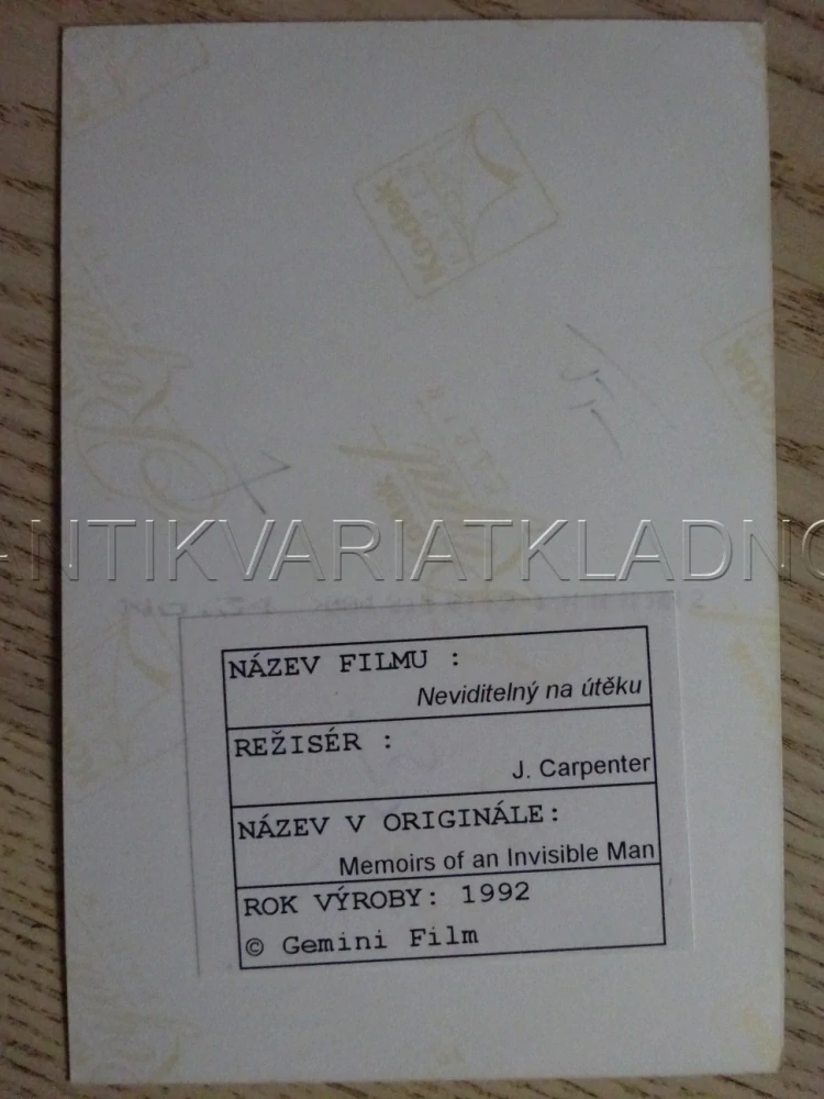 FOTOGRAFIE - S. TOBOLOWSKI, NEVIDITELNÝ NA ÚTĚKU