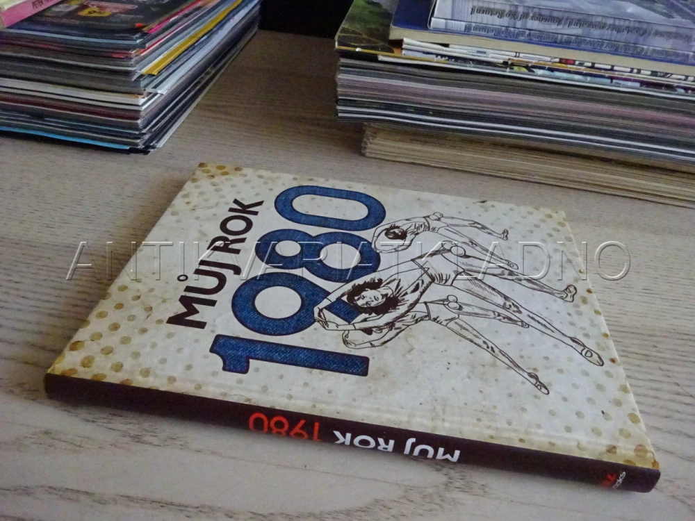 MŮJ ROK 1980, **an