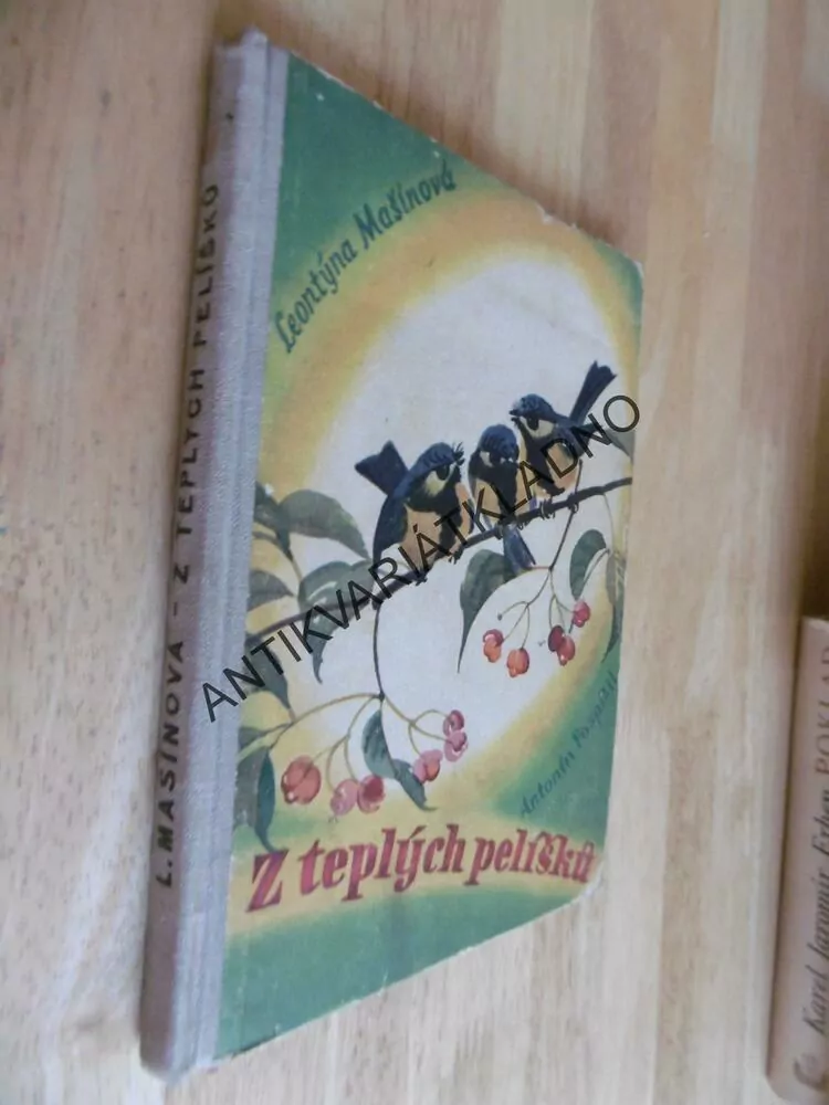 Z TEPLÝCH PELÍŠKŮ, LEONTÝNA MAŠÍNOVÁ, POSPÍŠIL