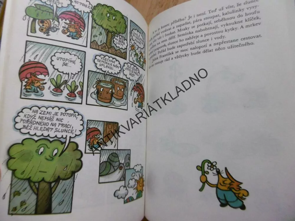 JAK JEŽEK HLEDAL DÉŠŤ, DAGMAR LHOTOVÁ, FALTOVÁ
