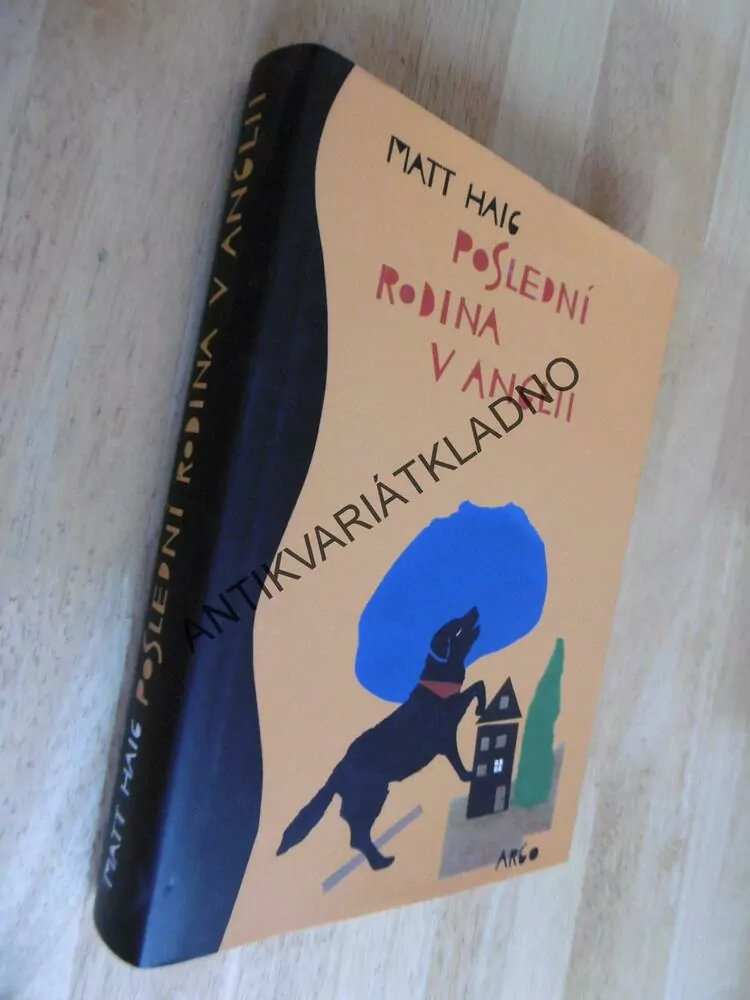 POSLEDNÍ RODINA V ANGLII, MATT HAIG, **an