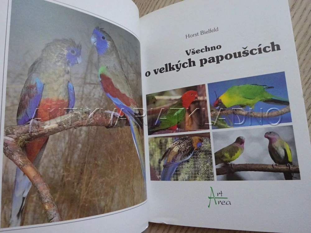 VŠECHNO O VELKÝCH PAPOUŠCÍCH, HORST BIELFELD, **an