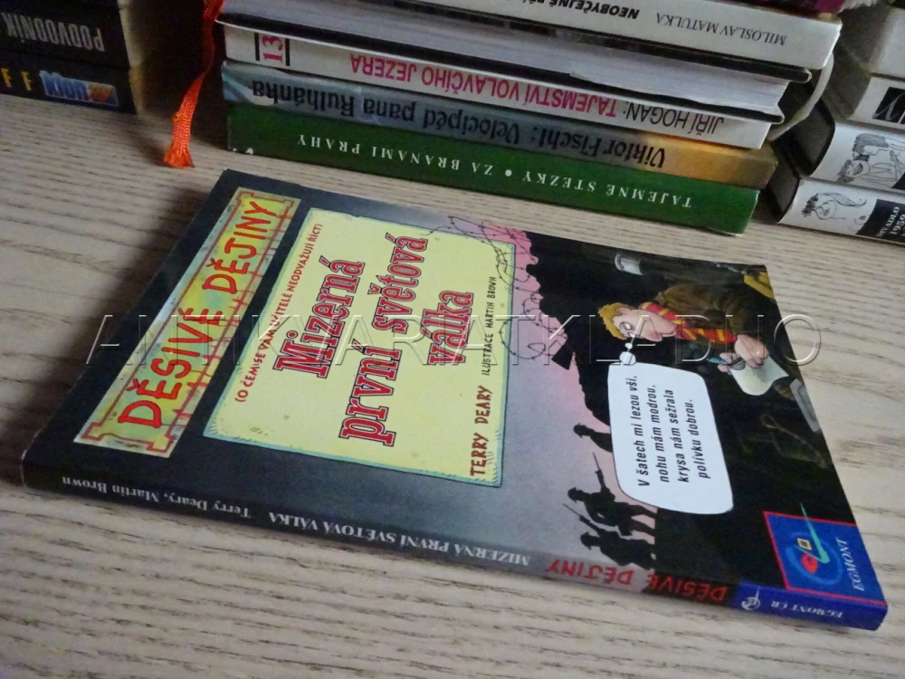 MIZERNÁ PRVNÍ SVĚTOVÁ VÁLKA, TERRY DEARY, MARTIN BROWN, **an