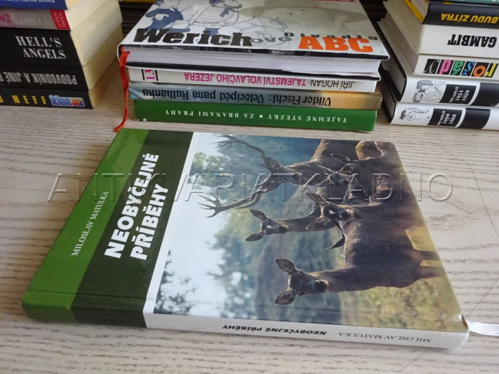 NEOBYČEJNÉ PŘÍBĚHY, MILOSLAV MATULKA, **an