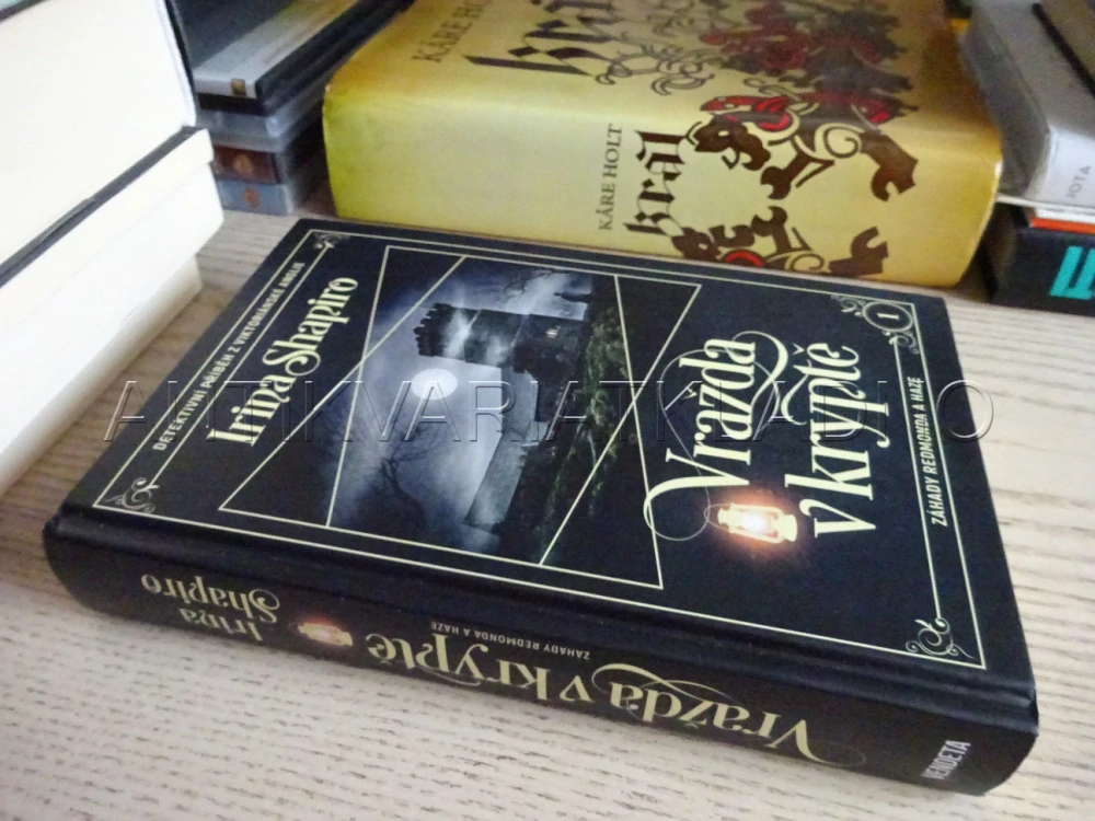 VRAŽDA V KRYPTĚ, ZÁHADY REDMONDA A HAZE 1, IRINA SHAPIRO, **an