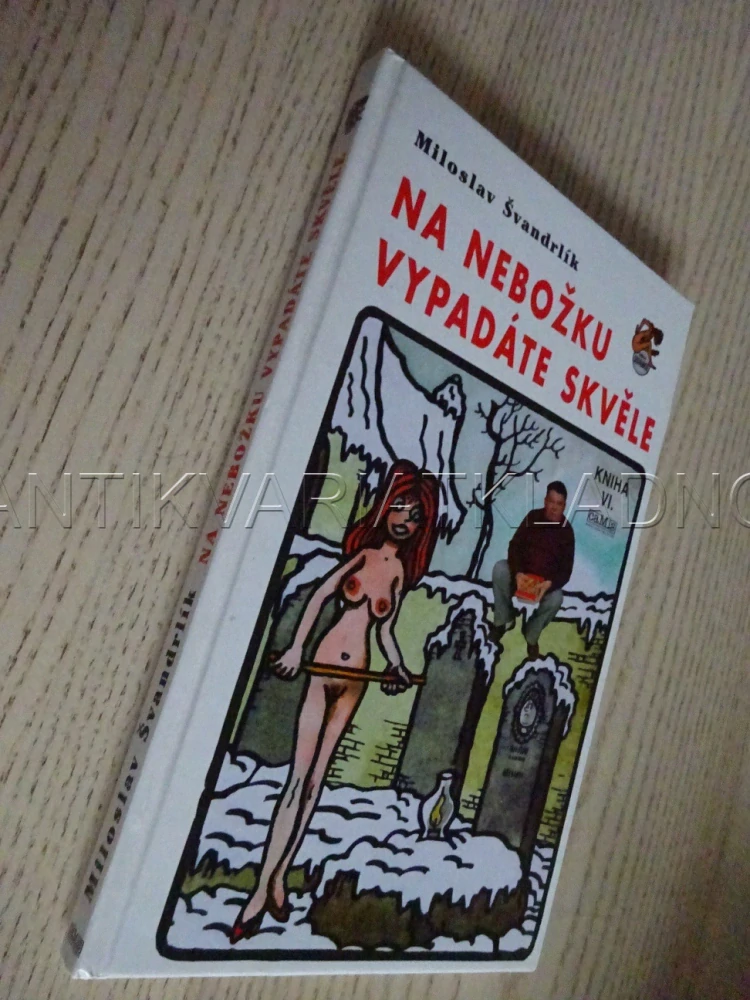 NA NEBOŽKU VYPADÁTE SKVĚLE, ŠVANDRLÍK, **an