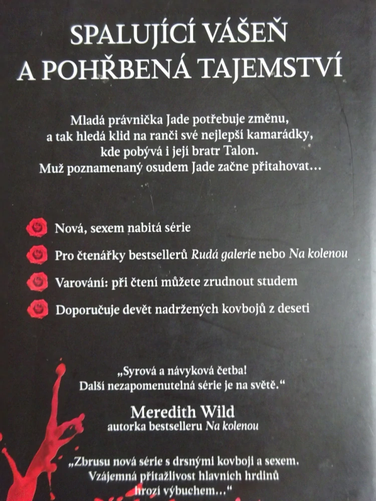BRATŘI STEELOVÉ, TOUHA, HELEN HARDT, **an