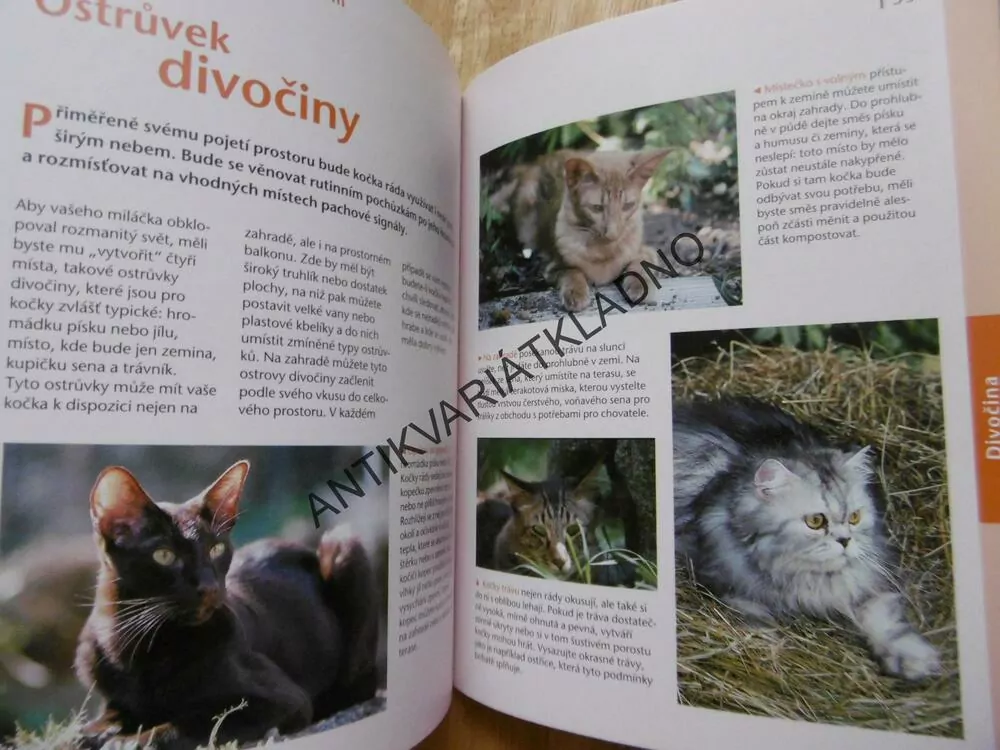 BYDLÍME S KOČKOU, KOČKA, PRAKTICKY, PŘÍJEMNĚ,VKUSNĚ
