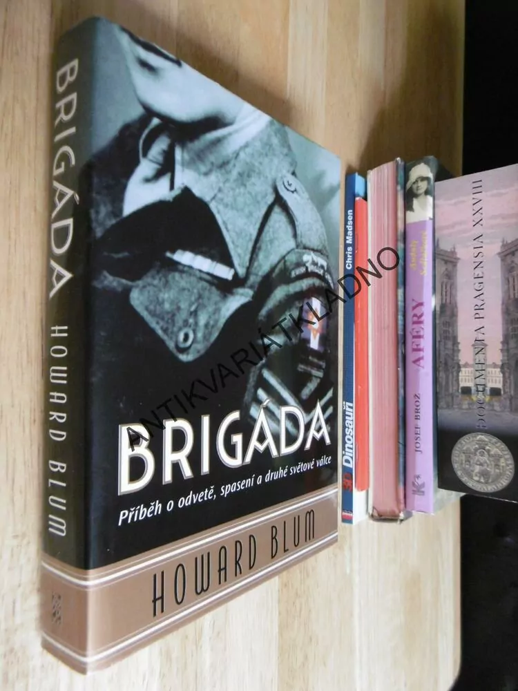 BRIGÁDA, PŘÍBĚH O ODVĚTĚ, SPASENÍ A DRUHÉ SVĚTOVÉ VÁLCE, HOWARD BLUM, **an