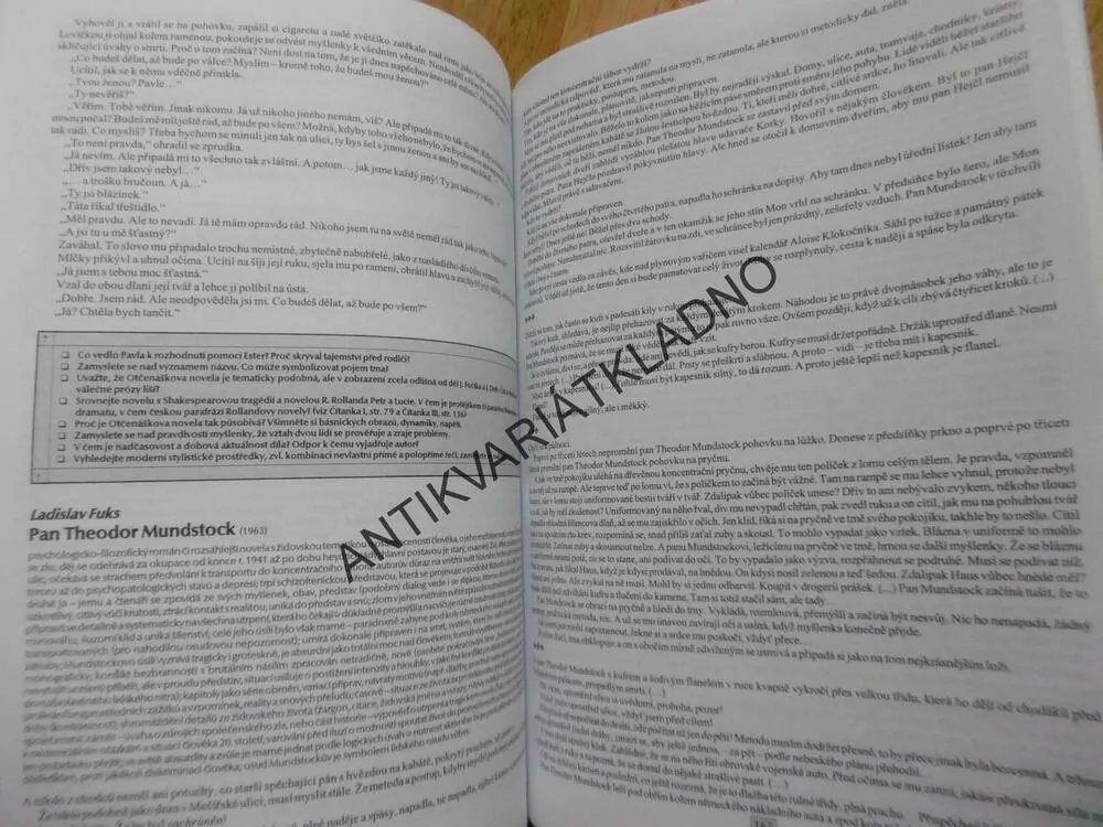 ČÍTANKA IV. K LITERATUŘE V KOSTCE PRO STŘEDNÍ ŠKOLY, SOCHROVÁ