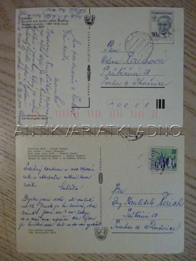 ŽINKOVY, OKRES PLZEŇ-JIH, 2 KUSY