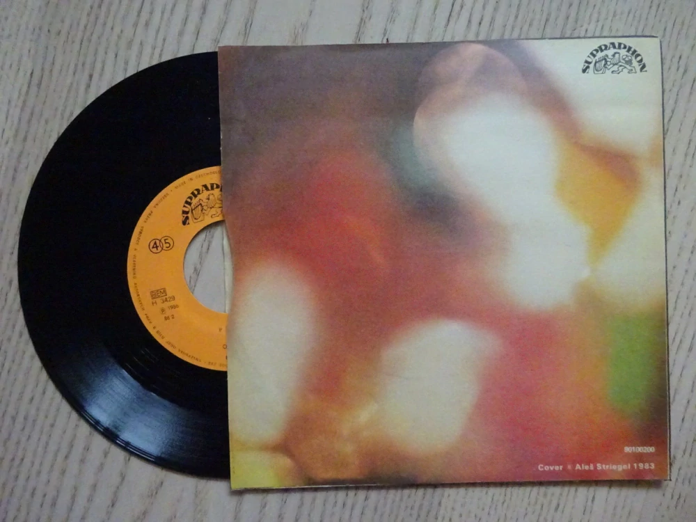 DEŠTIVÝ DEN, NECHOĎ ZA KLUKAMA, VĚRA MARTINOVÁ, MALÁ DESKA