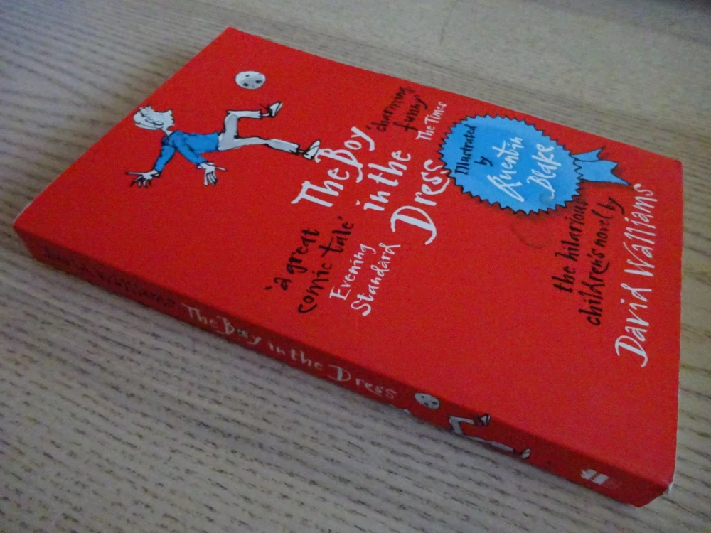 THE BOY IN THE DRESS, DAVID WALLIAMS, ANGLICKY, **an