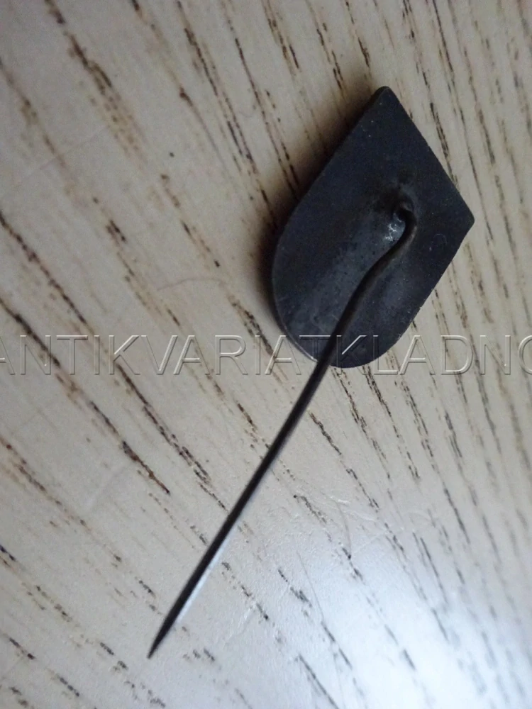 POLSKÁ LIGA OBRANY VLASTI, POLSKO, ODZNAK