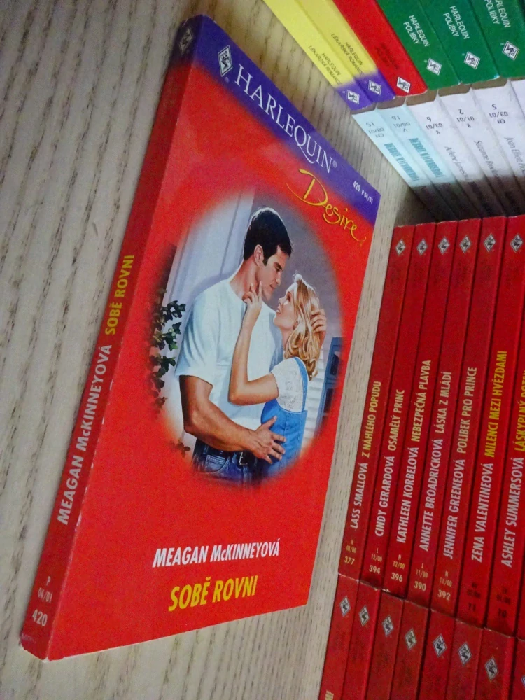 SOBĚ ROVNI, MEAGAN MCKINNEYOVÁ, **an