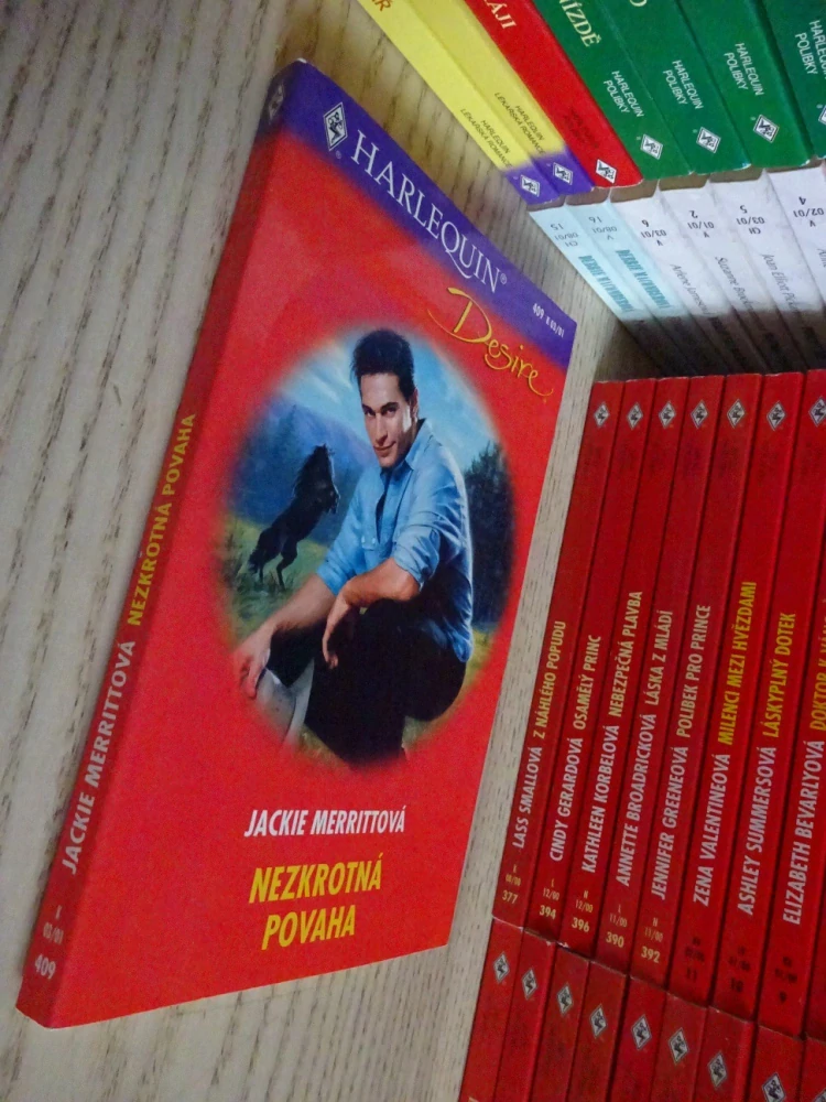 NEZKROTNÁ POVAHA, JACKIE MERRITOVÁ, **an