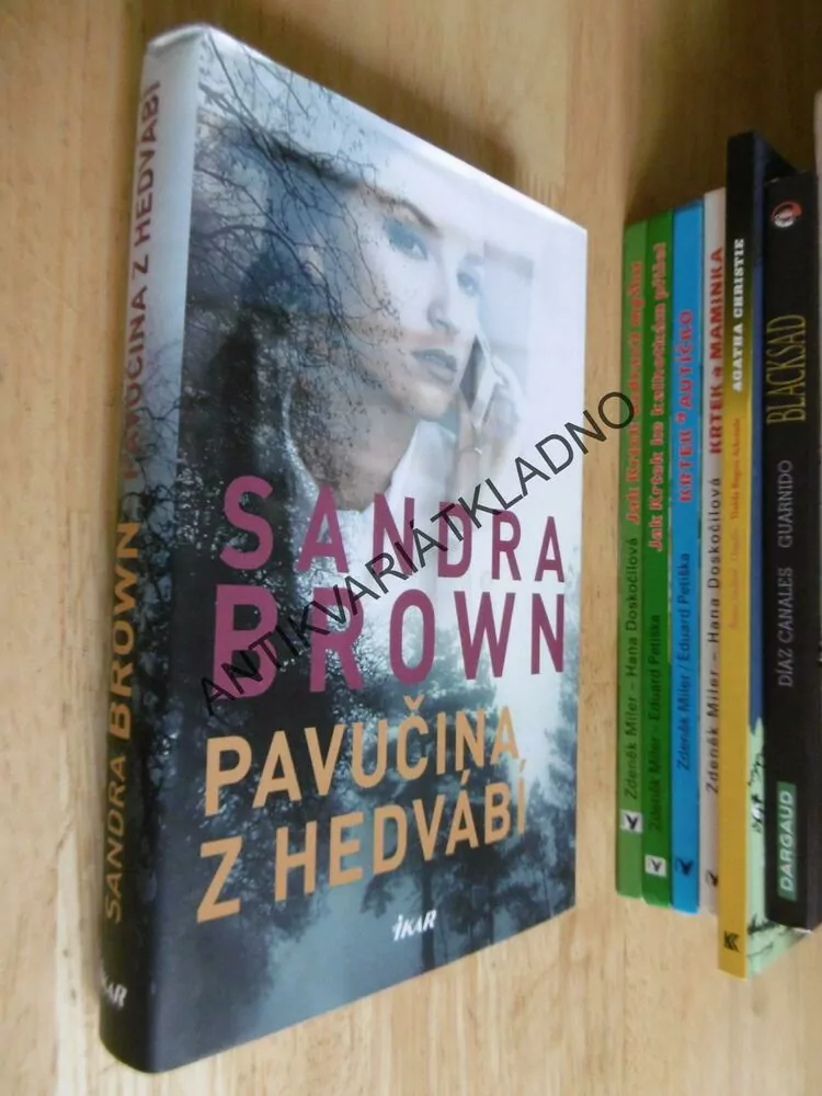 PAVUČINA Z HEDVÁBÍ, SANDRA BROWN, **an