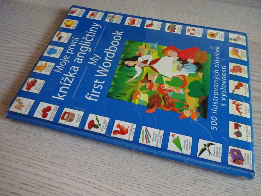 MOJE PRVNÍ KNÍŽKA ANGLIČTINY, MY FIRST WORDBOOK, DISNEY, **an