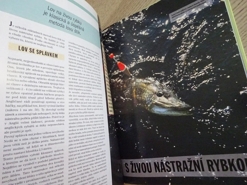ŠTIKA, ÚSPĚŠNÝ RYBÁŘ, **an