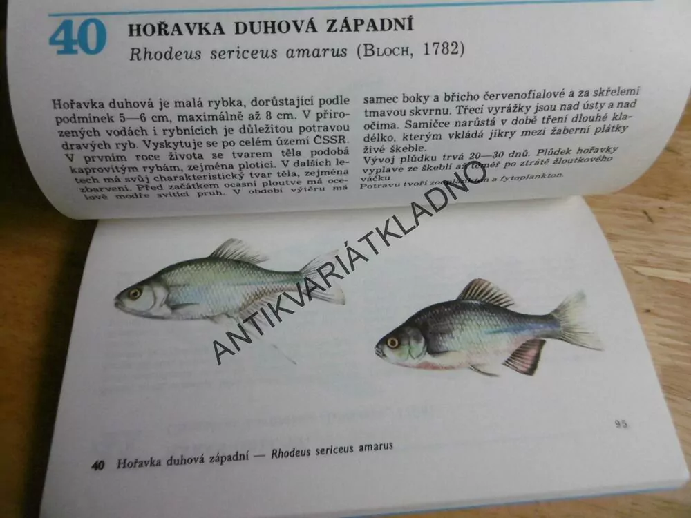 NAŠE RYBY, MIHÁLIK, REISER, **an