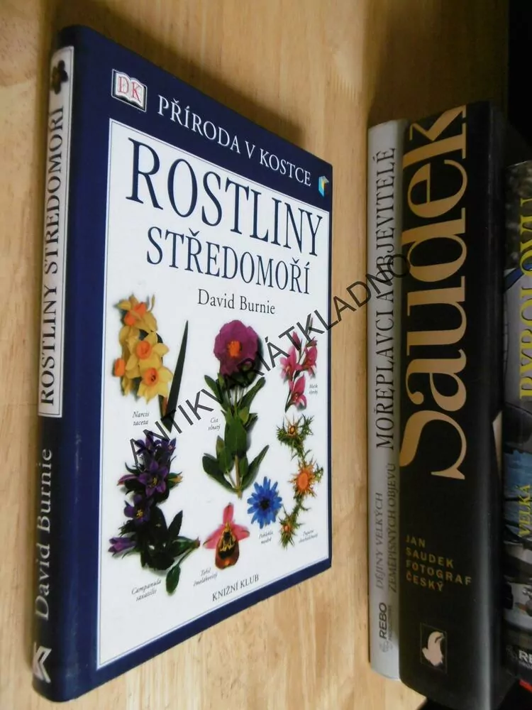 ROSTLINY STŘEDOMOŘÍ, DAVIDS BURNIE