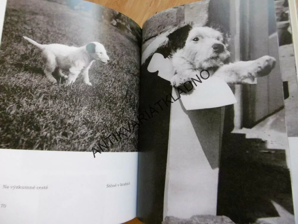 DÁŠENKA, ČILI ŽIVOT ŠTĚNĚTE, KAREL ČAPEK, **an