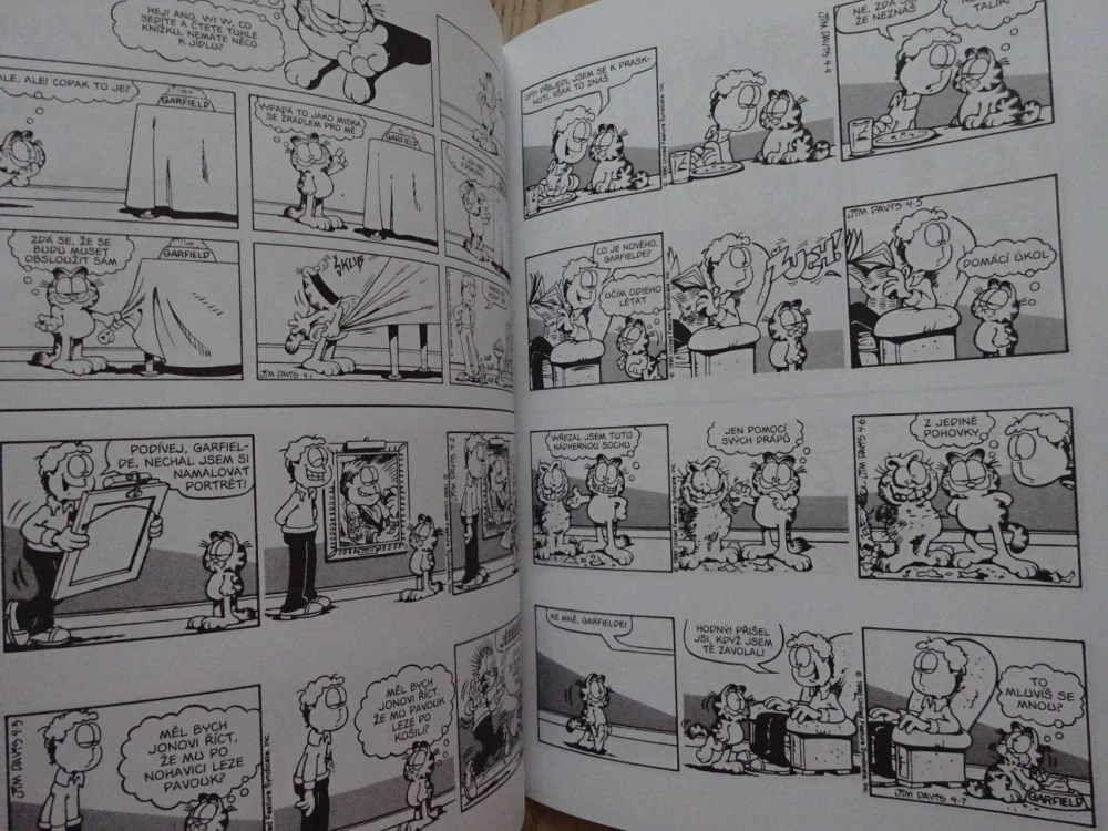 GARFIELD MÍSTO NA SLUNCI, JIM DAVIS, **an