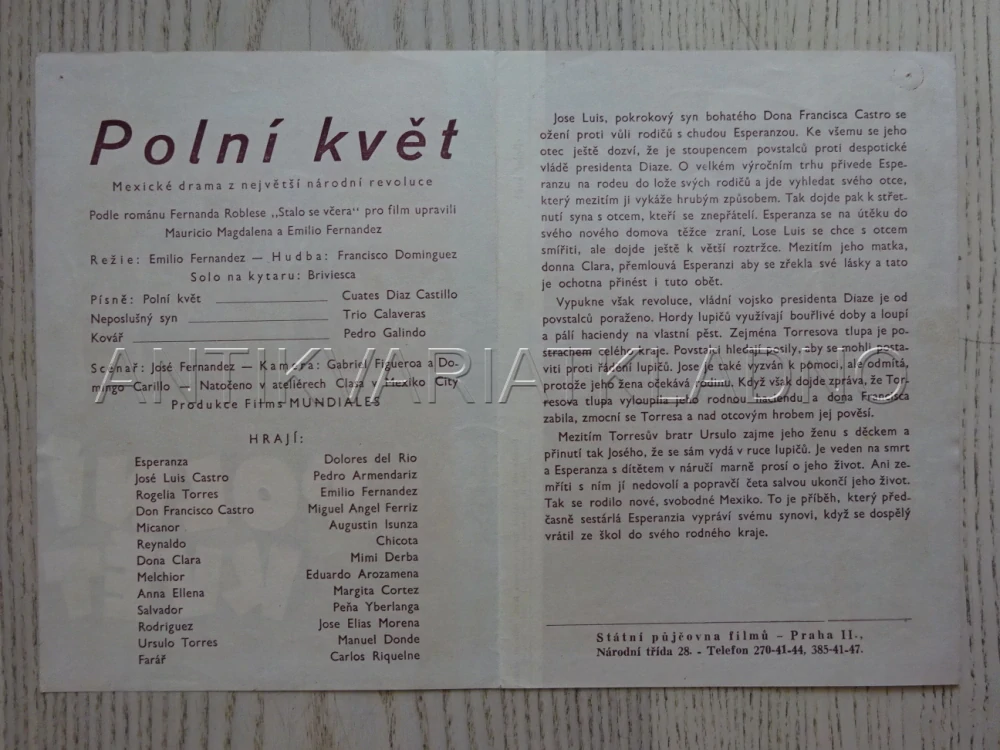 POLNÍ KVĚT, D. DEL RIO, BIO PROGRAM Č. 685