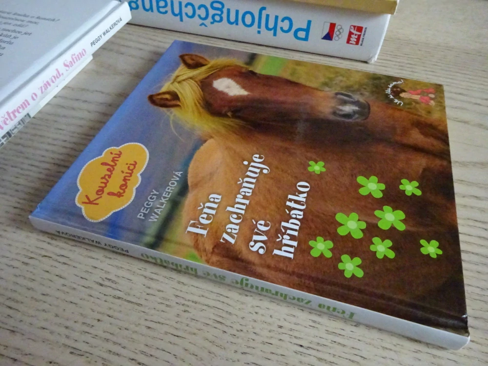FEŇA ZACHRAŇUJE SVÉ HŘÍBÁTKO, KOUZELNÍ KONÍCI, PEGGY WALKEROVÁ, **an