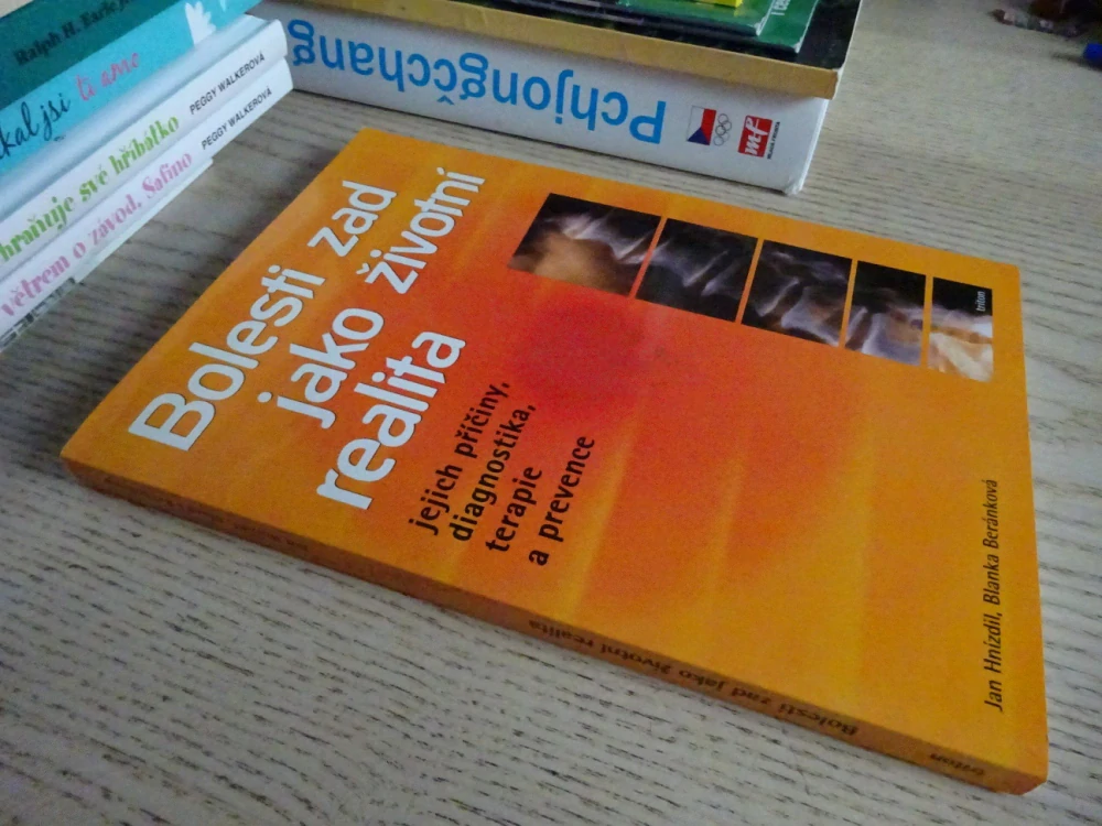 BOLESTI ZAD JAKO ŽIVOTNÍ REALITA, JEJICH PŘÍČINY, DIAGNOSTIKA, TERAPIE A PREVENCE, JAN HNÍZDIL, BLANKA BERÁNKOVÁ, **an