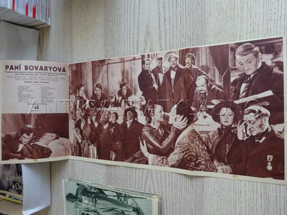 PANÍ BOVARYOVÁ, M. DEARLY, BIO PROGRAM Č. 151, 1934