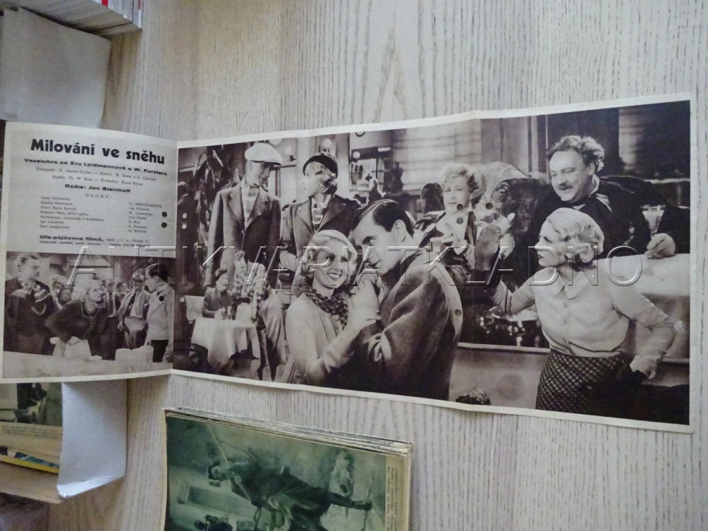 MILOVÁNÍ VE SNĚHU, D. KREYSLER, BIO PROGRAM Č. 180, 1934