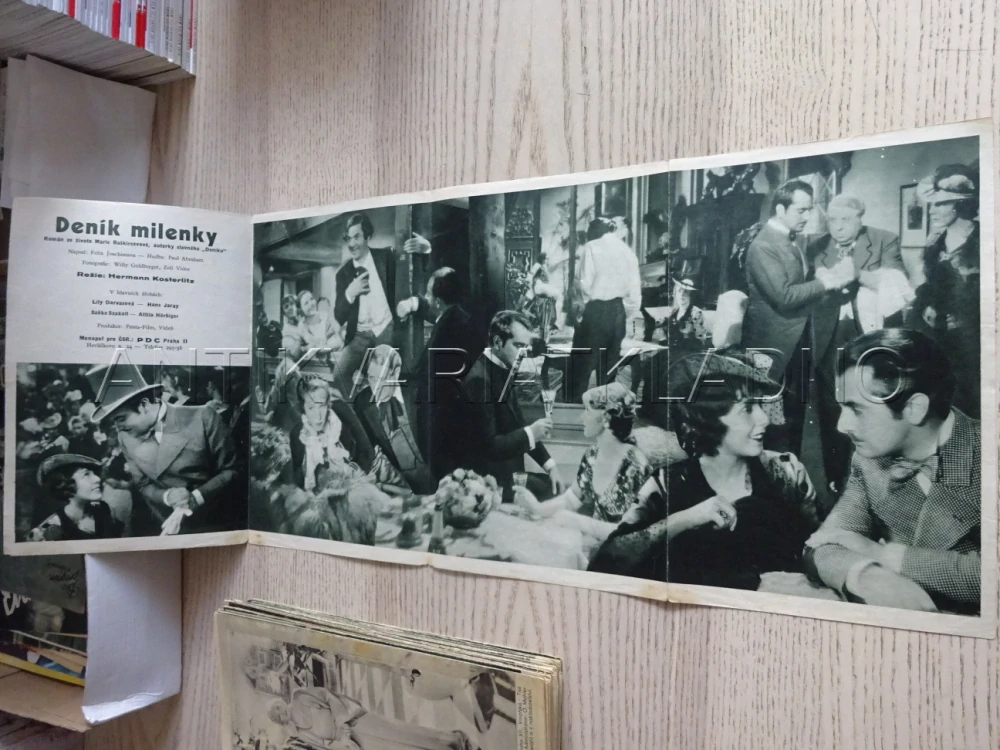 DENÍK MILENKY, H. JARAY, BIO PROGRAM Č. 310, 1935