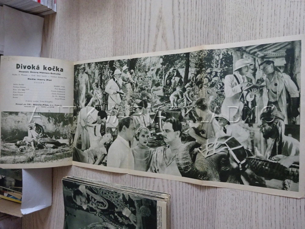 DIVOKÁ KOČKA, H. PIEL, BIO PROGRAM Č. 335, 1936