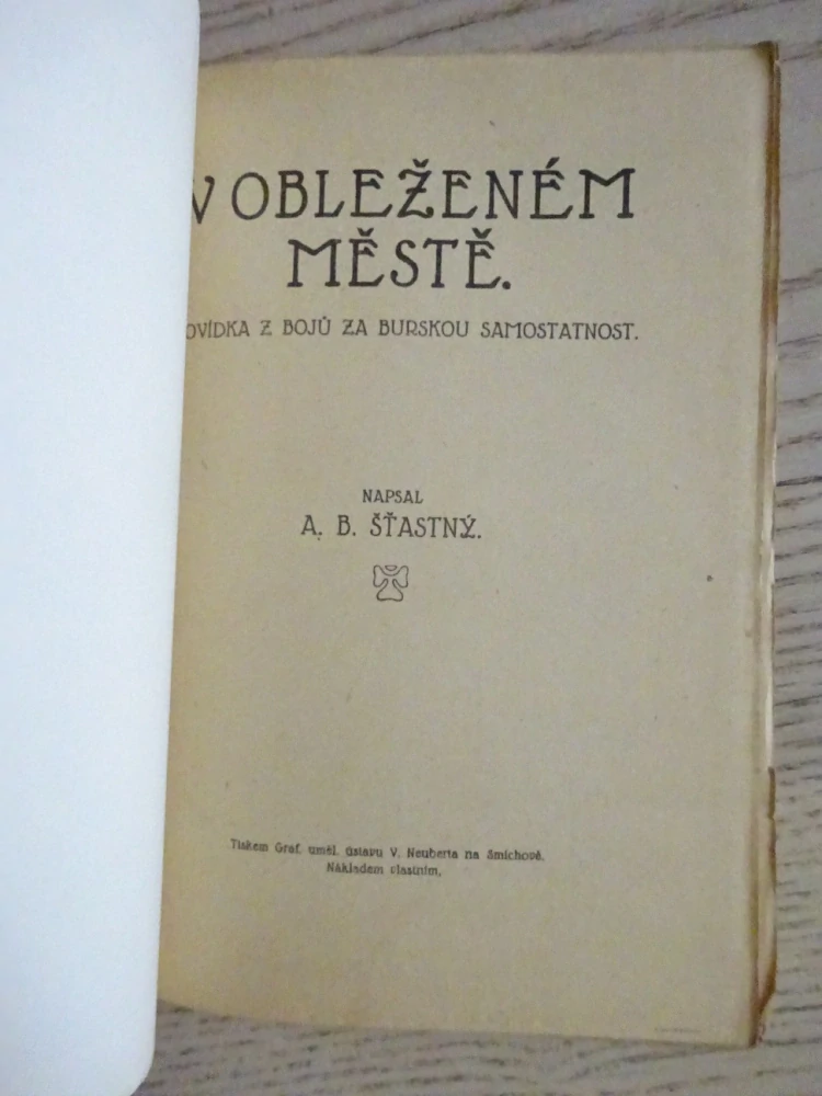 V OBLEŽENÉM MĚSTĚ