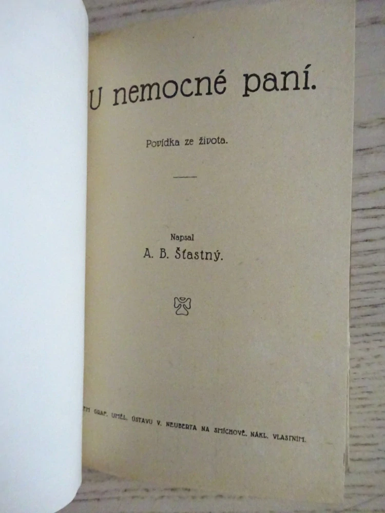 U NEMOCNÉ PANÍ