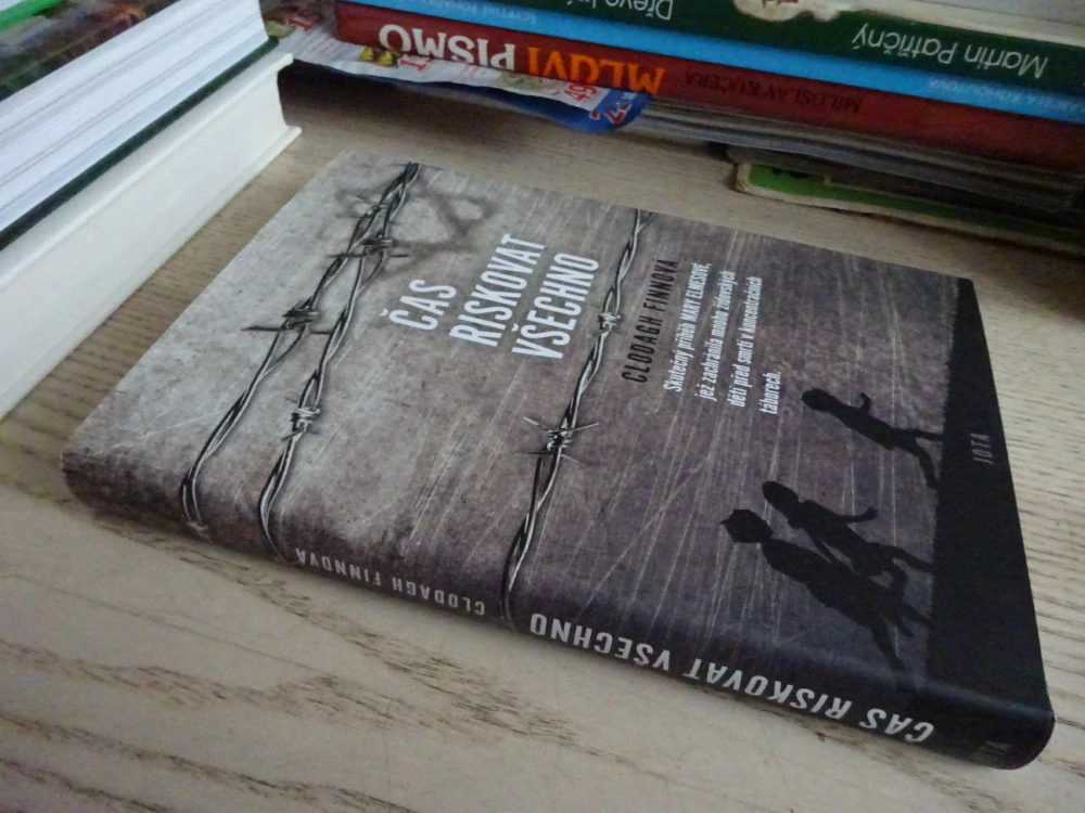 ČAS RISKOVAT VŠECHNO, CLODAGH FINNOVÁ, **an