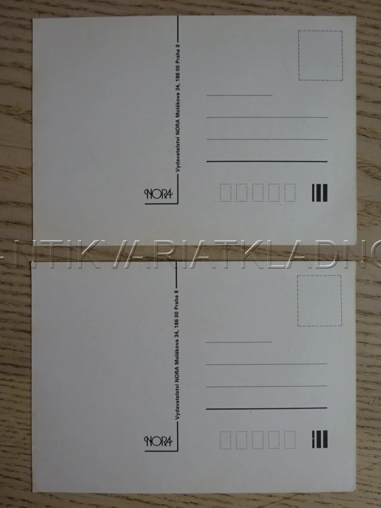 CHLAPEC, HOLKA, HOLČIČKA, CHLAPEČEK, KVĚTINY, SRDEČNÉ BLAHOPŘÁNÍ, 2 KUSY