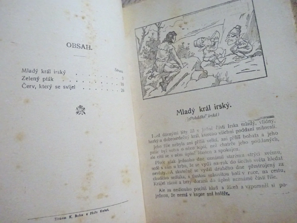 MLADÝ KRÁL IRSKÝ A JINÉ, POHÁDKY Z CELÉHO SVĚTA SV. 55 (MNOHÉ FANTASY)