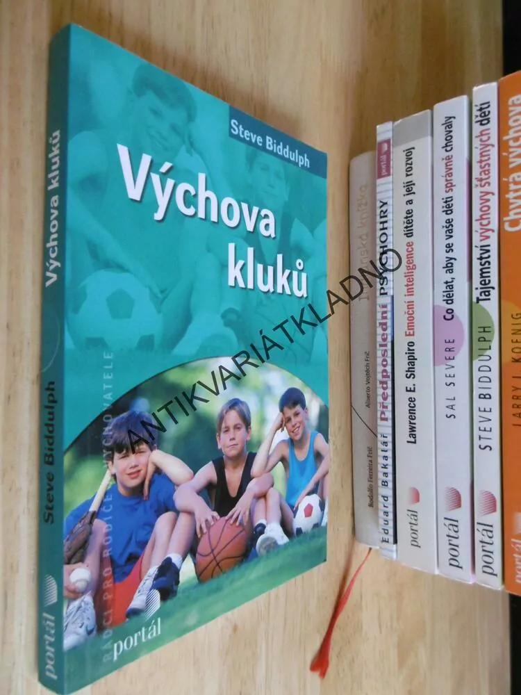 VÝCHOVA KLUKŮ, STEVE BIDDULPH,