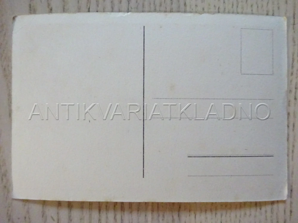 HLUBOKÁ NAD VLTAVOU, SÁL V LOVECKÉM ZÁMKU, POHLEDNICE 53