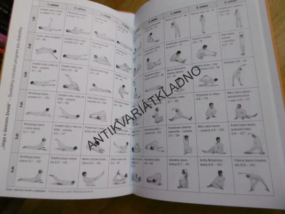 JÓGA V DENNÍM ŽIVOTĚ A DIABETES, CVIČENÍ NA PODPORU LÉČBY DIABETU