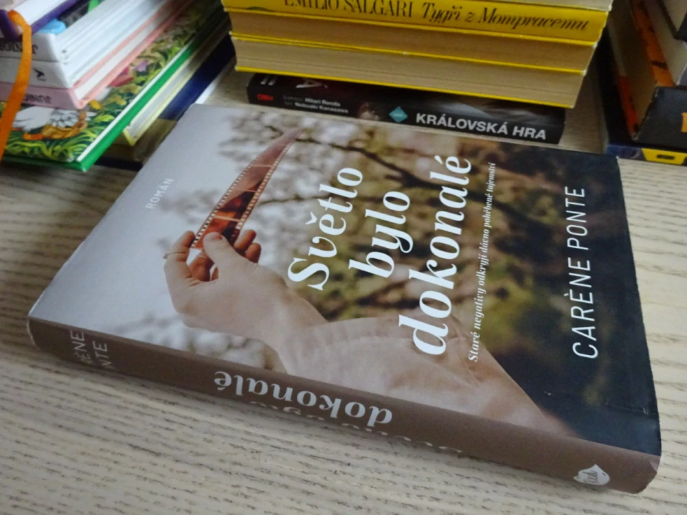 SVĚTLO BYLO DOKONALÉ, CARENE PONTE, **an