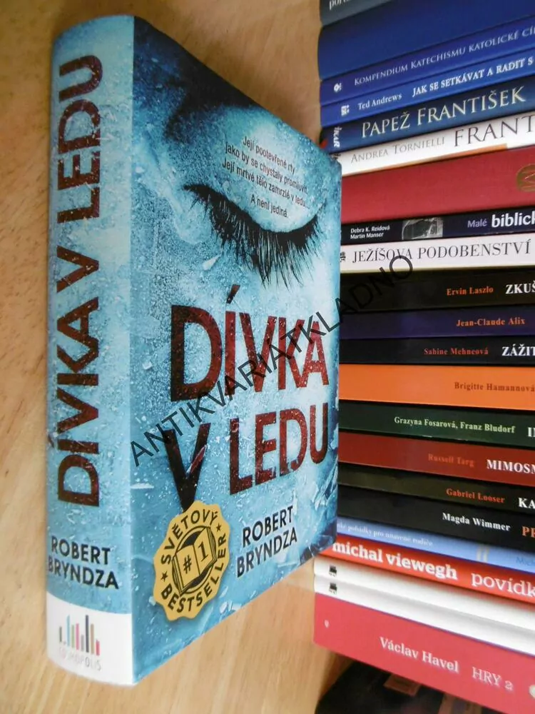 DÍVKA V LEDU, ROBERT BRYNDZA, **an
