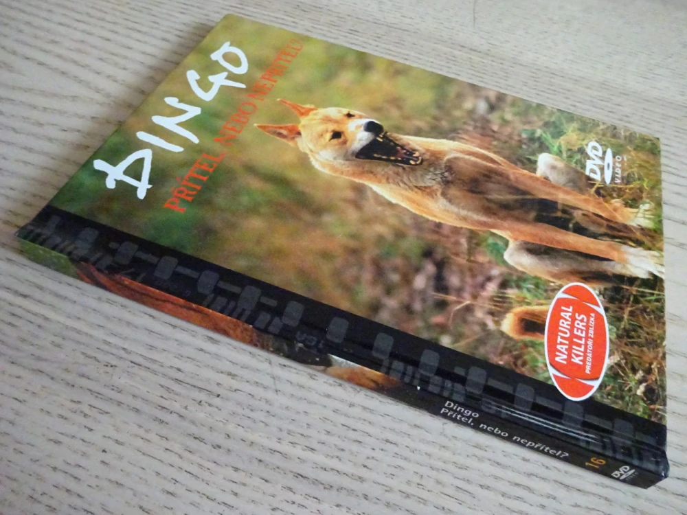 PŘÍTEL NEBO NEPŘÍTEL?, PES DINGO, DVD FILM