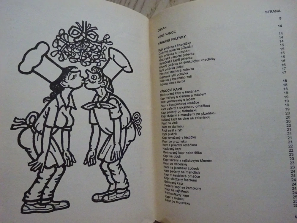 KUCHAŘKA NEJEN NA NEDĚLI, JEDNOU V ROCE NA VÁNOCE, **an