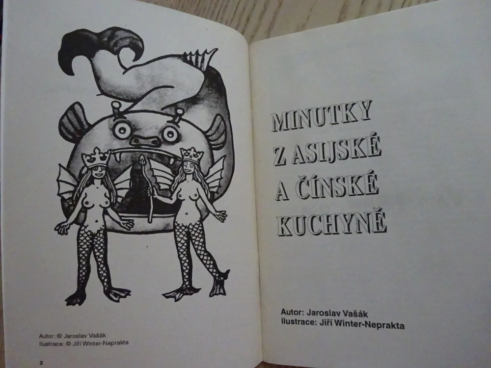 KUCHAŘKA NEJEN NA NEDĚLI, MINUTKY Z ČÍNSKÉ A ASIJSKÉ KUCHYNĚ, **an