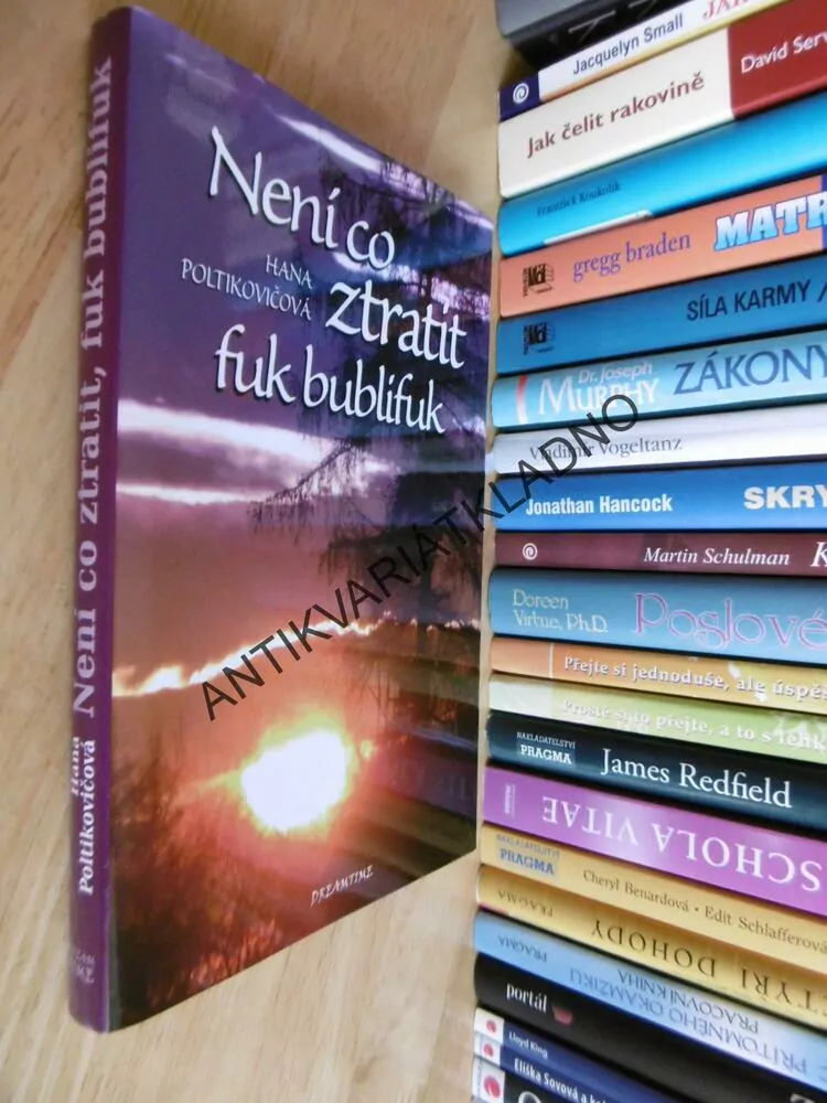 NENÍ CO ZTRATIT FUK BUBLIFUK, HANA POLTIKOVIČOVÁ